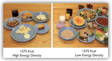 nutrition chapter 2 quizlet|nutrition ch 2 test flashcards.